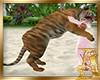 tiger Hugs anim