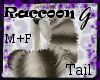 G- Racoon, Tail v1