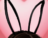 Bunny Ears