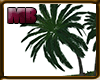 [6V9] Palm