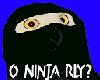 O Ninja Rly