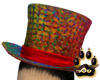 ~Oo Circus Colorful Hat
