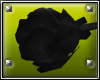 [C] Female Black Rose~