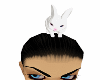 WITHE BUNNY IN HEAD ANIM