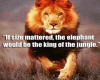 Lion is King