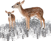 FG~ Deer In Snow