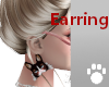 NK Earrings Mov