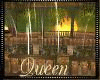 !Q Seasons
