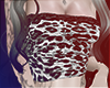 Cheeta v2