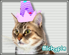 Cat with Birthday Hat