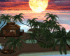 islands core