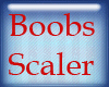 *R BooBs Scaler 20%
