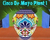 Cinco De Mayo Plant 1