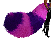 Purple and Pink tail