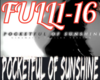 POCKETFUL OF SUNSHINE 1