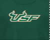 Custom USF Shirt