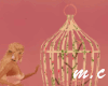 Animated  Bird Cage