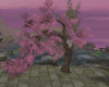 ZEN : cherry tree 2