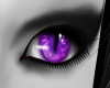 Purple neko eyes