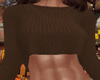 Fall Brown Sweater