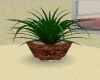 UE POTTED PLANT