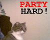 party hard kitty anim