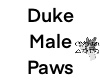 Duke Male Paws
