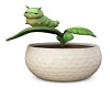 Caterpillar Pot