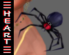 Aussie Mouse Spider