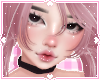 ❀. aoki | sakura