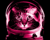 Space Kitty Club