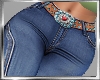Western CowGirl Jeans