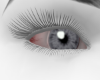 grey eyes