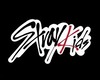 STRAY KIDS CLUB