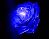 BLUE ROSE CHOUCH W/POSES