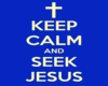 Seek Jesus VB!