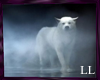 (LL)A White Wolf Picture