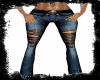 Jeans*