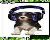 (A) Puppy DJ Radio