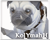 KYH | dog furniture