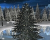 Winter Tree With Lights