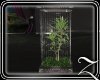 ~Z~Cherish Fountain 2