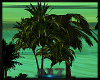 Ⓑ Smeraldo Palm