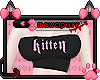 m♥ | Kitten Tube