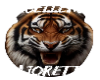 excellence Majorette