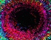 Colorful Wormhole