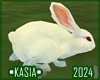 Animated  Rabbit