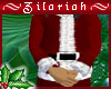 ~ZB Santa Coat