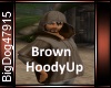 [BD]BrownHoodyUp