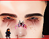 Tok brows